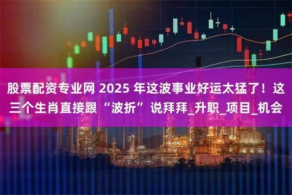 股票配资专业网 2025 年这波事业好运太猛了！这三个生肖直接跟 “波折” 说拜拜_升职_项目_机会